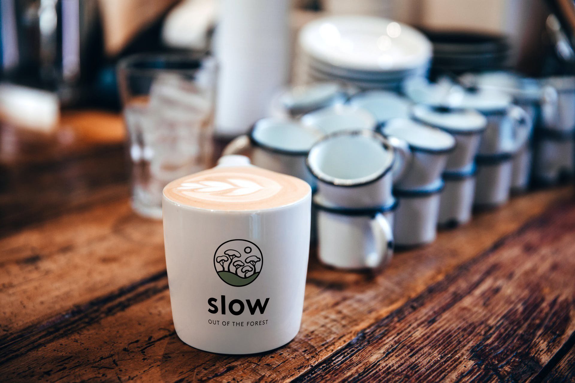 Slow Coffee has earned the European Union organic certification, ensuring our coffee is produced to EU organic standards by the original 37 farming families.