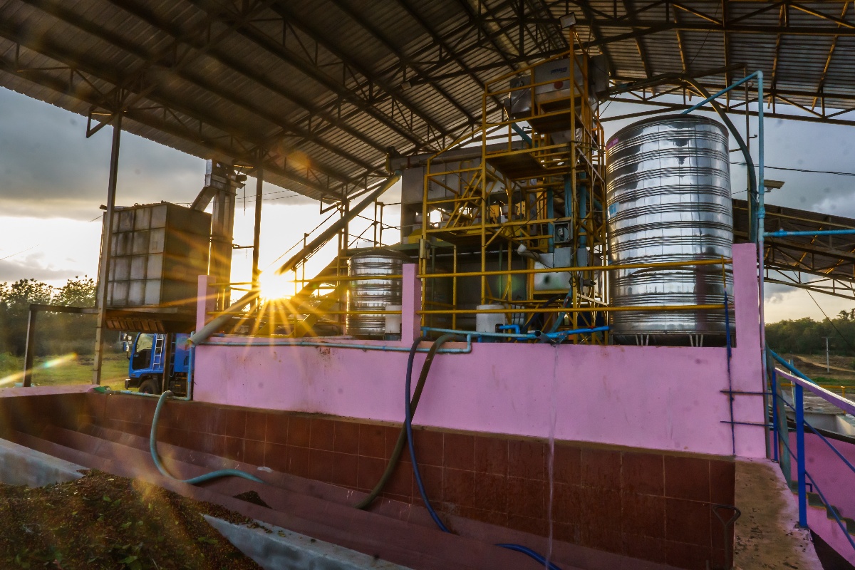 Processing coffee at the mills