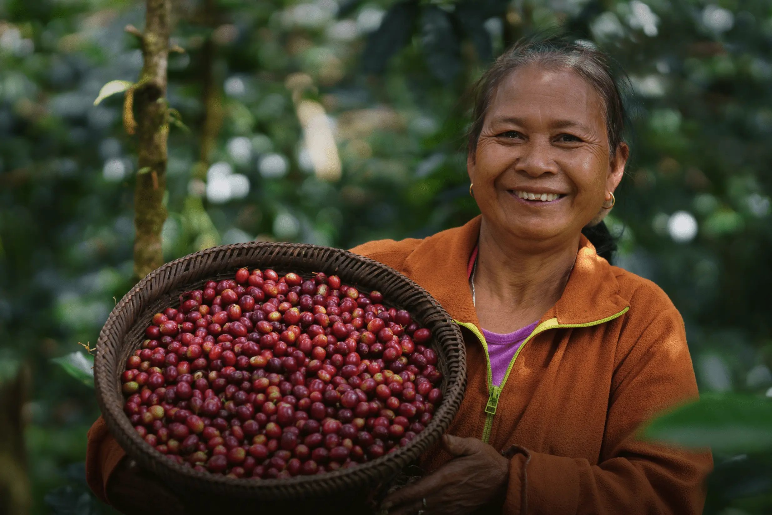 Slow Coffee and WWF partner to boost sustainable coffee farming in Southeast Asia prioritizing nature, communities, and biodiversity with P4G support