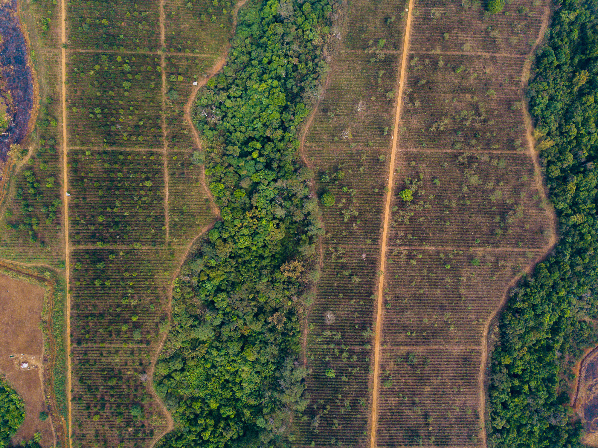 Slow buffer zone wildlife habitat Nampod farm (2)-1