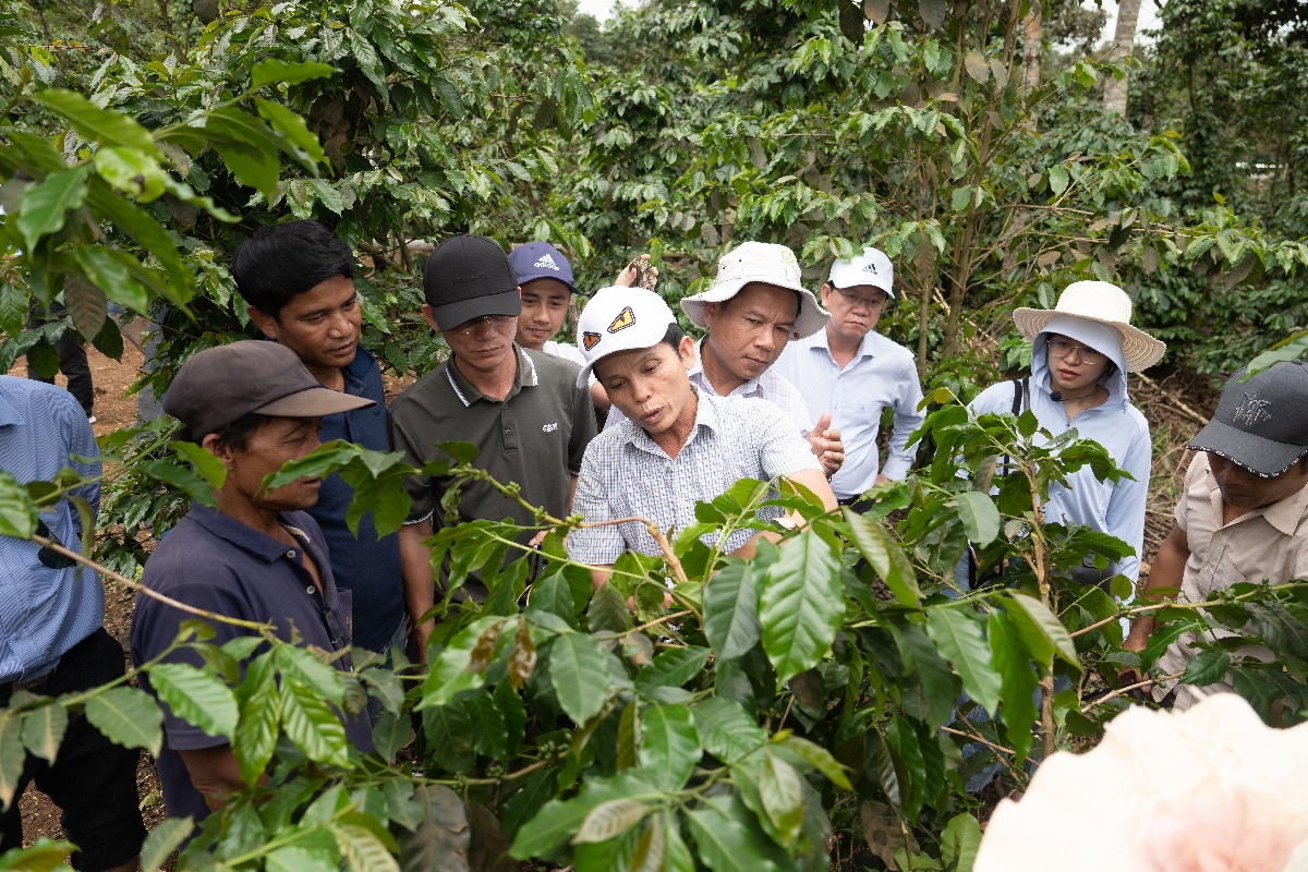 Quang Tri farmers on a study tour to learn sustainable coffee farming practices at Slow’s farm in Laos © Slow