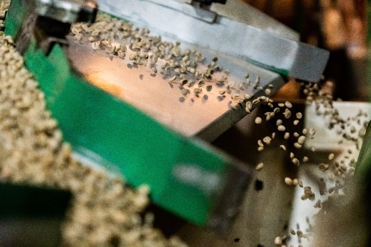 Hulling parchment into Green bean - Slow coffee