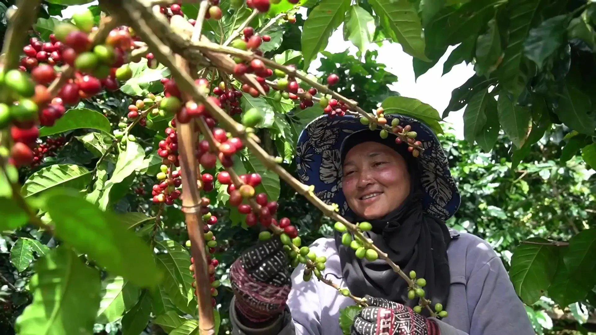 The Slow coffee journey with farmers-thumb-2