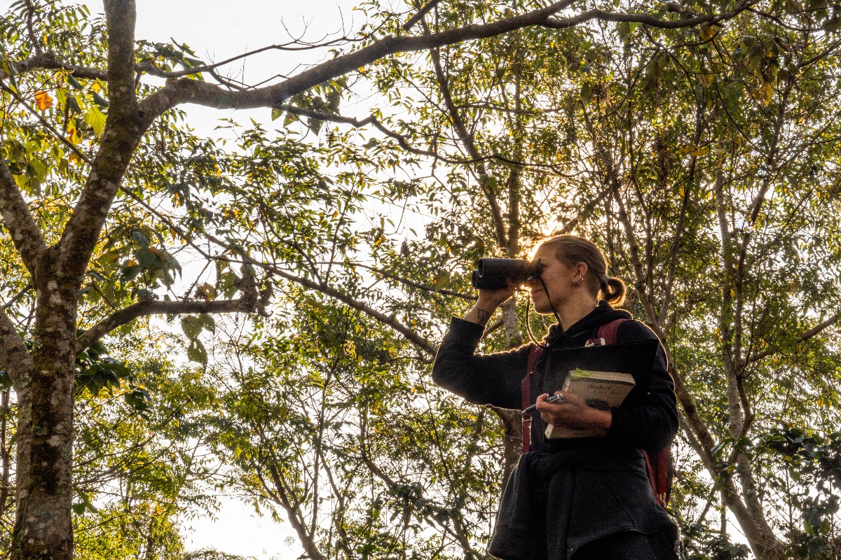 Why we're making coffee production more bird-friendly